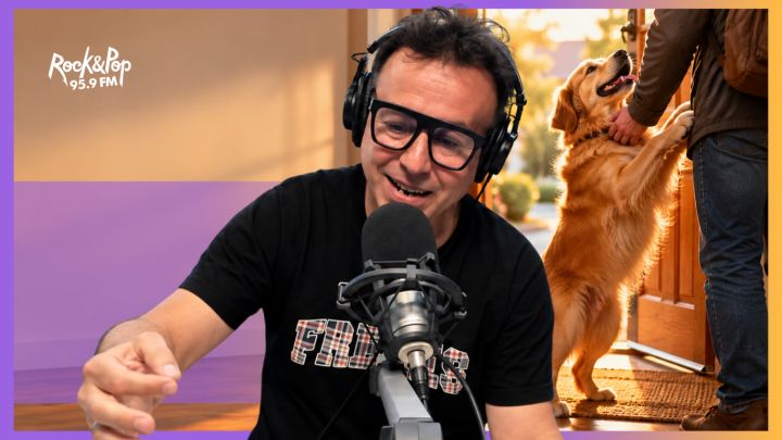 Lo que los perros entendieron y nosotros parecemos haber olvidado
