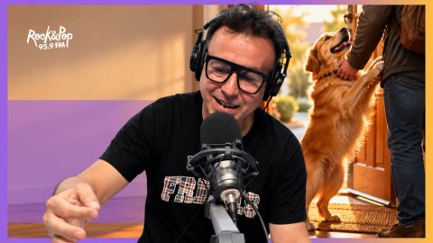 Lo que los perros entendieron y nosotros parecemos haber olvidado