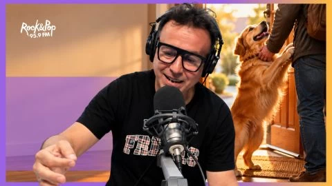 Lo que los perros entendieron y nosotros parecemos haber olvidado