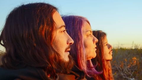 ¿Viste el videoclip animado de Dulce Ironía?