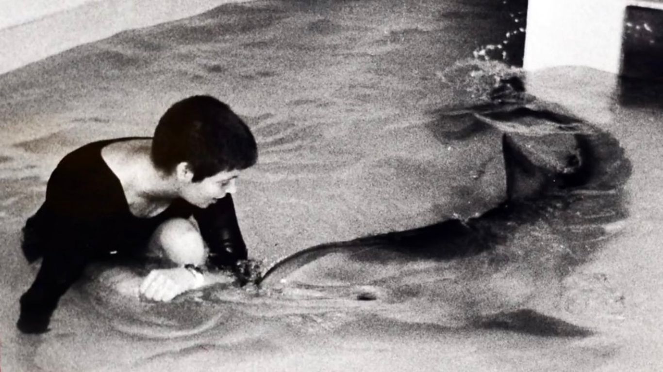 Secretos negros: el delfín y la papota