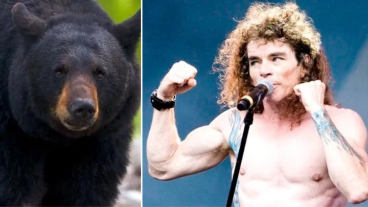 El metalero que vive con un oso