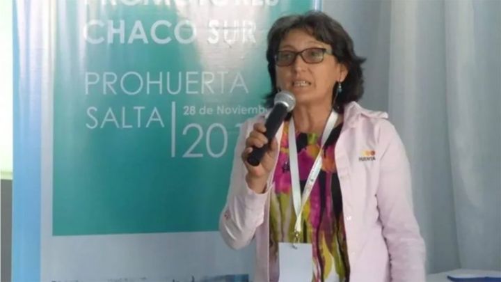 Alcira Figueroa, la mujer que reemplazará a Juan Ameri en Diputados