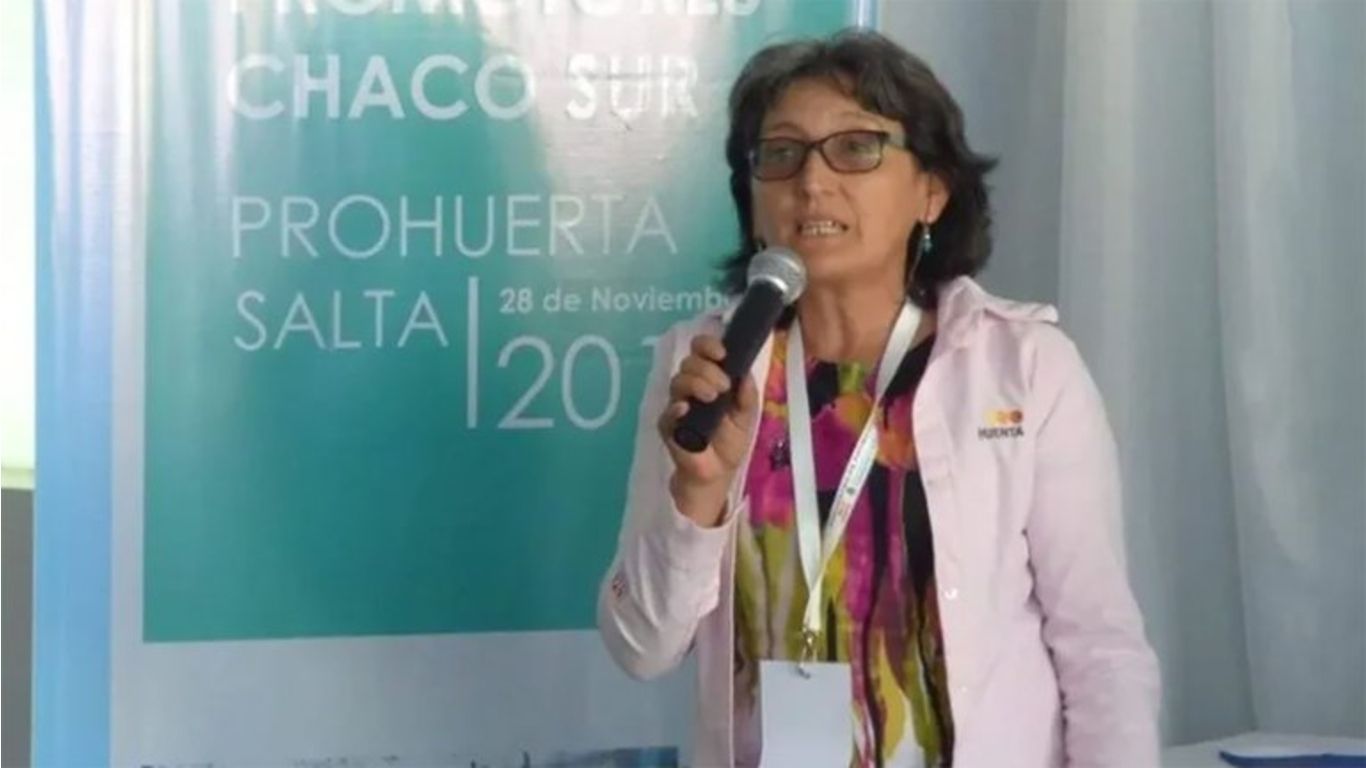 Alcira Figueroa, la mujer que reemplazará a Juan Ameri en Diputados