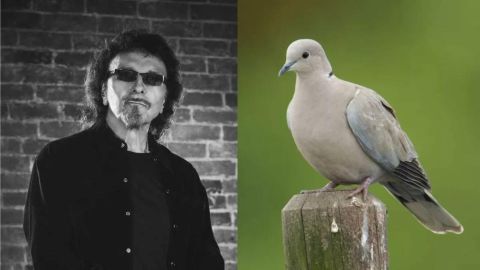 Tony Iommi y su amor por los animales