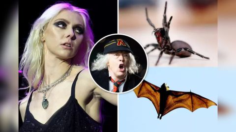 A Taylor Momsen la pic&oacute; una ara&ntilde;a gigante antes de tocar con AC/DC en M&eacute;xico