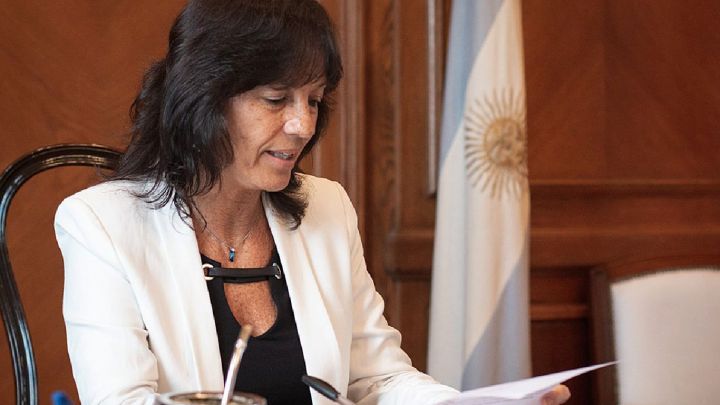 Vilma Ibarra: “Tildaron al proyecto de inconstitucional antes de leerlo”