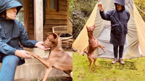 Buttons, el motivo por el que Liam Gallagher no quiere salir de gira