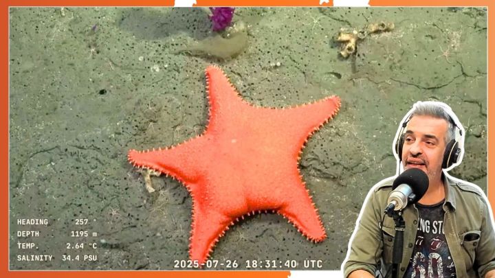 Furor por el streaming del CONICET desde el fondo del mar