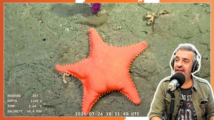 Furor por el streaming del CONICET desde el fondo del mar