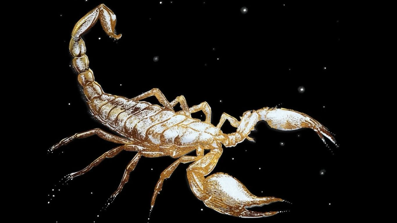 8e916e242bbce2ac368de91662782850_L