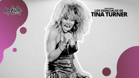 Los esenciales de TINA TURNER