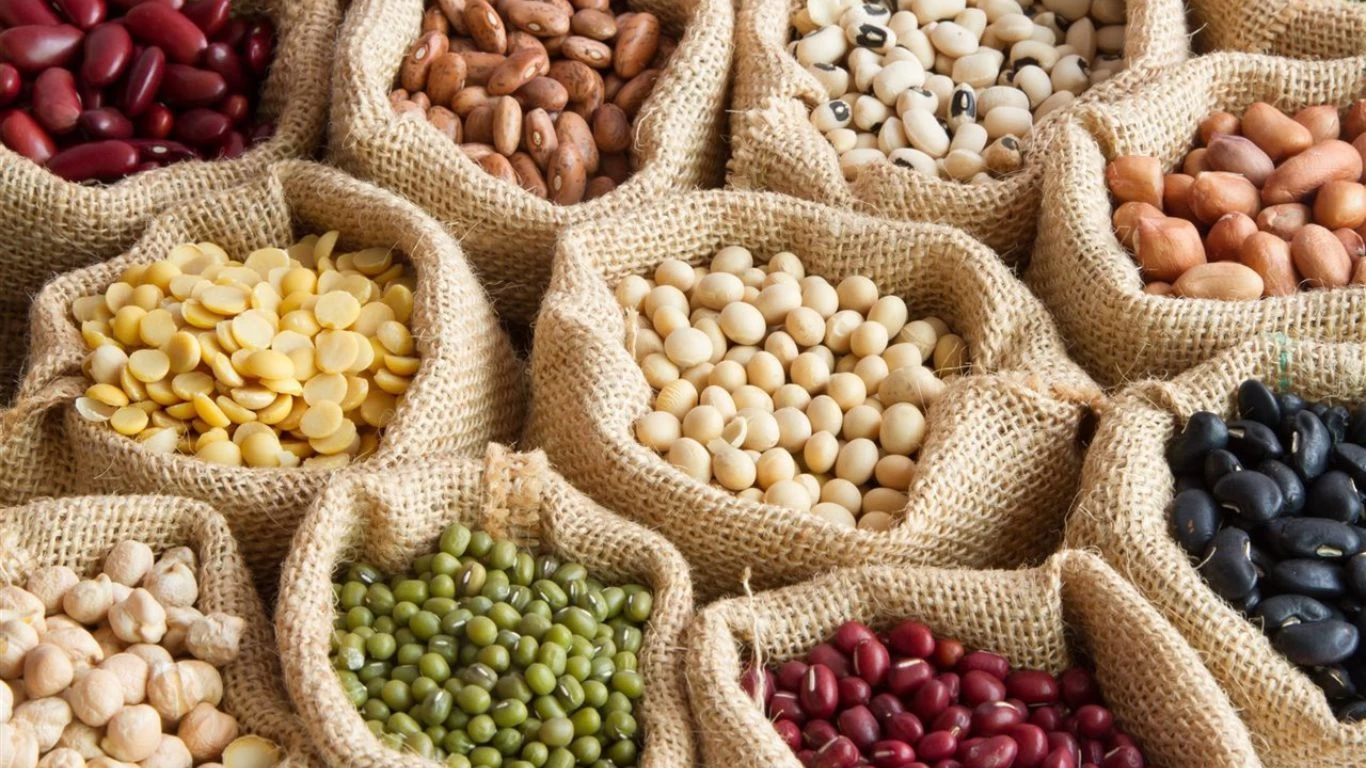 QUÉ SE COME: Recetas riquísimas con legumbres