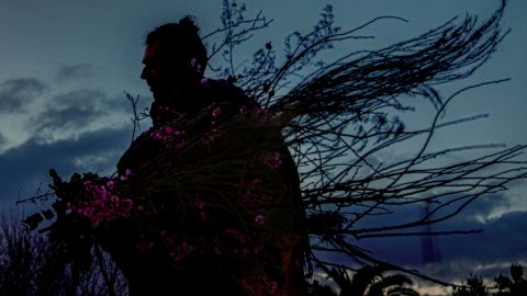 Ya salió &quot;Siervo&quot; el disco póstumo de Palo Pandolfo